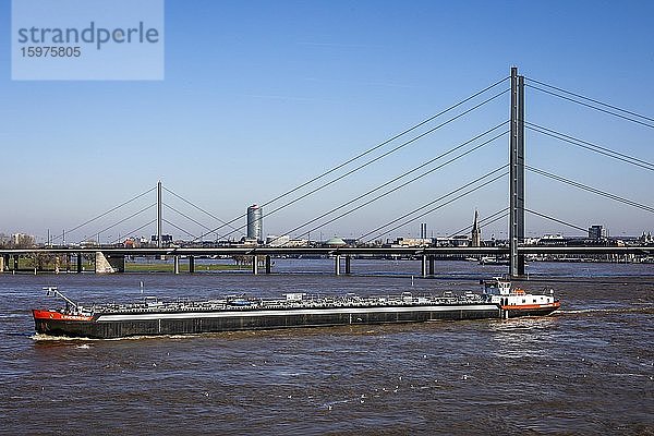 Frachter fahren bei Hochwasser auf dem Rhein unter der Rheinkniebrücke  Düsseldorf  Nordrhein-Westfalen  Deutschland  Europa