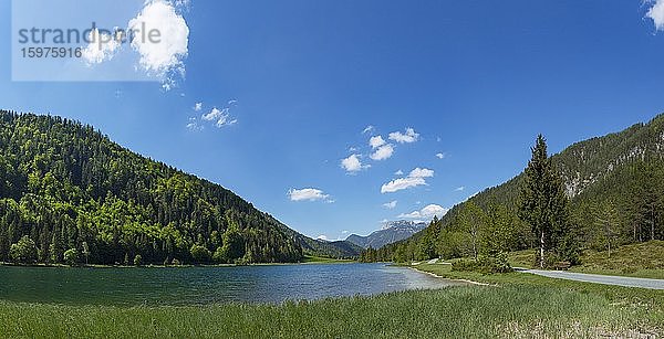 Gebirgssee  Wanderweg um den See  Pillersee  Sankt Ulrich am Pillersee  Pillerseetal  Tirol  Österreich  Europa