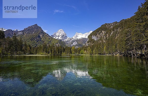 Schiederweiher  vor den Bergen Großer Priel und Spitzmauer  Totes Gebirge  Hinterstoder Region Pyhrn-Priel  Pyhrn-Eisenwurzen  Totes  Traunviertel  Oberösterreich  Österreich  Europa