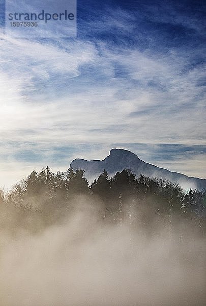 Sonnenaufgang mit Morgennebel und Schafberg  Mondsee  Salzkammergut  Oberösterreich  Österreich  Europa