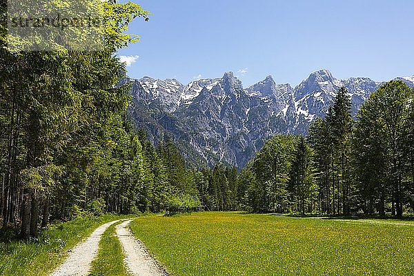 Wanderweg im Almtal  Grünau im Almtal  Totes Gebirge  Salzkammergut  Oberösterreich  Österreich  Europa