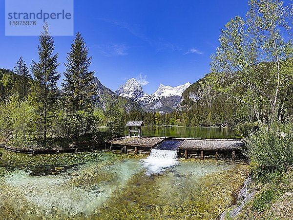 Schiederweiher  vor den Bergen Großer Priel und Spitzmauer  Totes Gebirge  Hinterstoder Region Pyhrn-Priel  Pyhrn-Eisenwurzen  Totes  Traunviertel  Oberösterreich  Österreich  Europa