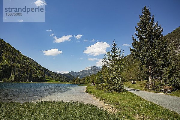 Gebirgssee  Wanderweg um den See  Pillersee  dahinter Steinplatte  Sankt Ulrich am Pillersee  Pillerseetal  Tirol  Österreich  Europa