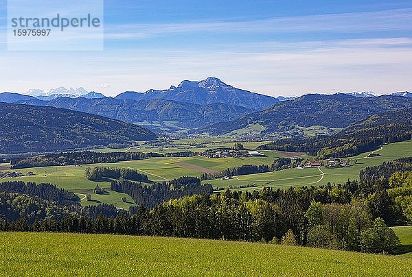 Panoramablick vom Lichtenberg  Ausblick auf Oberwang und Schafberg  Sankt Georgen im Attergau  Oberösterreich  Österreich  Europa