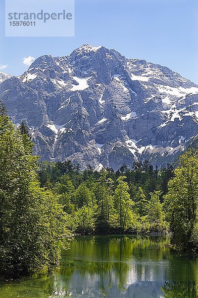 Großer Ödsee  Grünau im Almtal  Totes Gebirge  Salzkammergut  Oberösterreich  Österreich  Europa