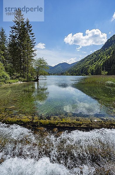 Gebirgssee  Pillersee  Sankt Ulrich am Pillersee  Pillerseetal  Tirol  Österreich  Europa