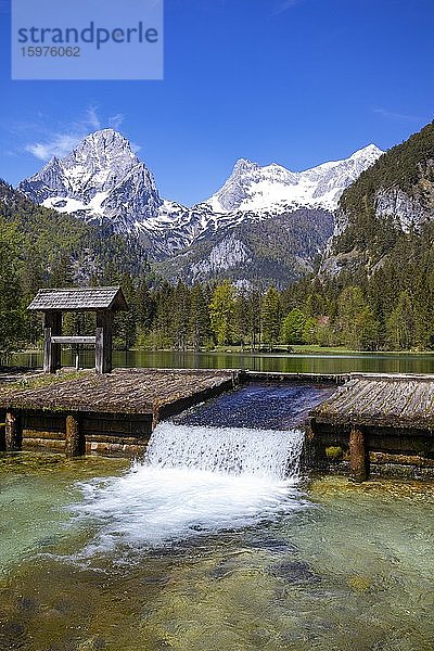 Schiederweiher  vor den Bergen Großer Priel und Spitzmauer  Totes Gebirge  Hinterstoder Region Pyhrn-Priel  Pyhrn-Eisenwurzen  Totes  Traunviertel  Oberösterreich  Österreich  Europa