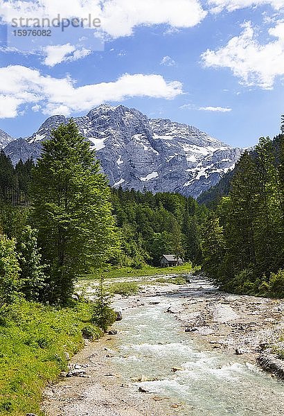 Gebirgsbach  Straneggbach mit Totem Gebirge  Grünau im Almtal  Totes Gebirge  Salzkammergut  Oberösterreich  Österreich  Europa