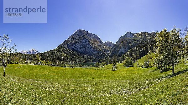 Gleinkersee  Spital am Pyhrn  Totes Gebirge  Region Pyhrn-Priel  Pyhrn-Eisenwurzen  Traunviertel  Oberösterreich  Österreich  Europa