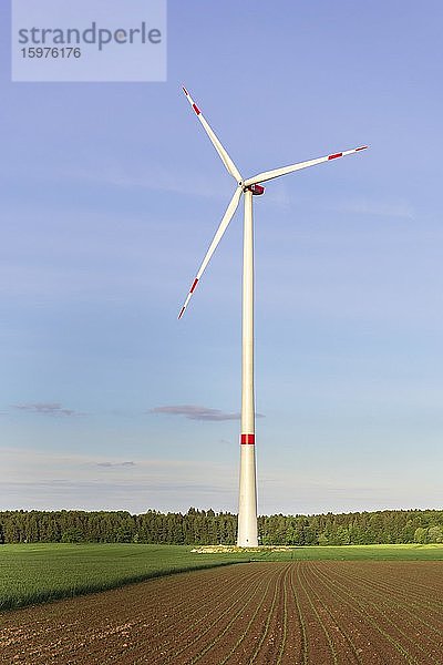 Windkraftanlage  Windrad  Windpark  Baden-Württemberg  Deutschland  Europa