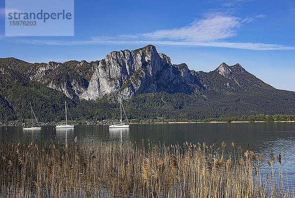 Mondsee mit Drachenwand und Schober  Mondsee  Salzkammergut  Oberösterreich  Österreich  Europa