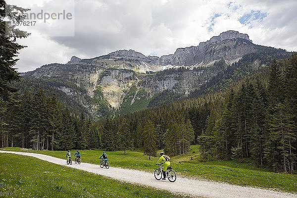 Mountainbiker bei der Blaa Alm  dahinter der Loser  Ausseeerland  Salzkammergut  Steiermark  Österreich  Europa