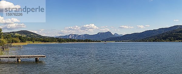 Panoramablick am Irrsee  dahinter Schober  Salzkammergut  Oberösterreich  Österreich  Europa