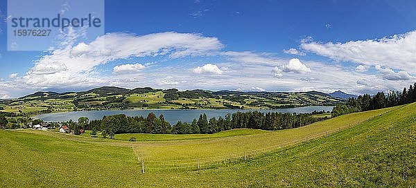 Panoramablick zum Irrsee  Salzkammergut  Oberösterreich  Österreich  Europa