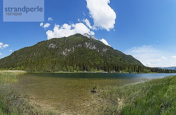 Gebirgssee  Pillersee mit Ulrichshorn  Sankt Ulrich am Pillersee  Pillerseetal  Tirol  Österreich  Europa