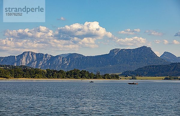 Fischerboote am Irrsee  dahinter Drachenwand und Schober  Salzkammergut  Oberösterreich  Österreich  Europa