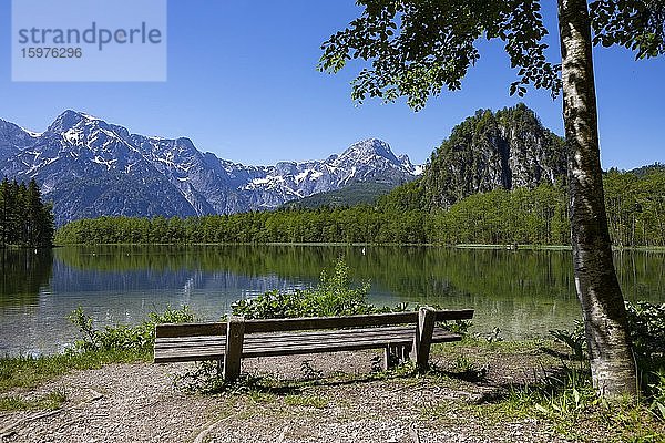 Sitzbank am Ufer des Almsee  Grünau im Almtal  Totes Gebirge  Salzkammergut  Oberösterreich  Österreich  Europa