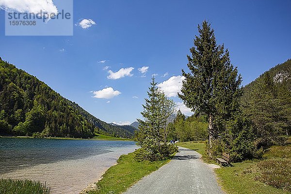 Gebirgssee  Wanderweg um den See  Pillersee  Sankt Ulrich am Pillersee  Pillerseetal  Tirol  Österreich  Europa