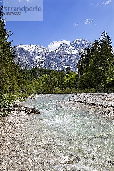 Gebirgsbach  Straneggbach mit Totem Gebirge  Grünau im Almtal  Totes Gebirge  Salzkammergut  Oberösterreich  Österreich  Europa