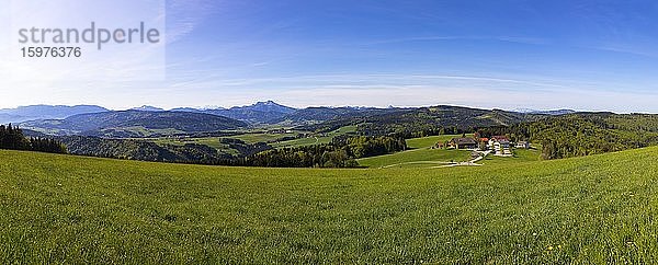 Panoramablick vom Lichtenberg  Ausblick auf Oberwang und Schafberg  Sankt Georgen im Attergau  Oberösterreich  Österreich  Europa
