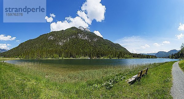 Gebirgssee  Wanderweg um den See  Pillersee mit Ulrichshorn  Sankt Ulrich am Pillersee  Pillerseetal  Tirol  Österreich  Europa