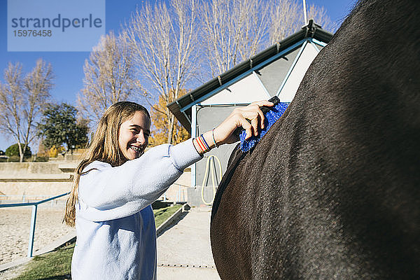 Fröhliches junges Mädchen steht auf einer Ranch und benutzt eine Bürste auf einem großen Kastanienpferd