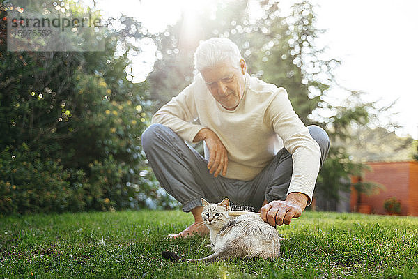 Älterer Mann bürstet Katze im Garten