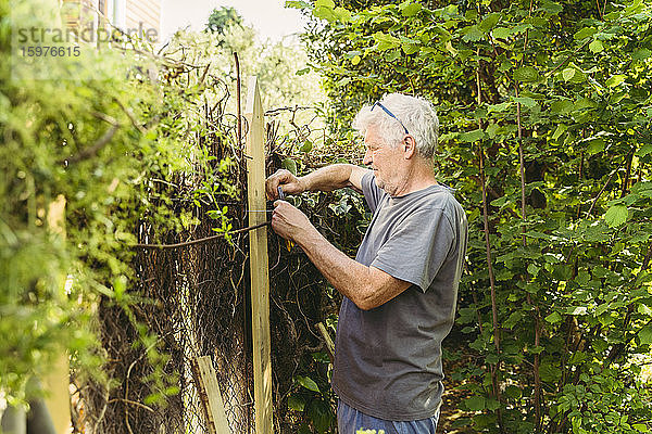 Älterer Mann repariert Gartenzaun