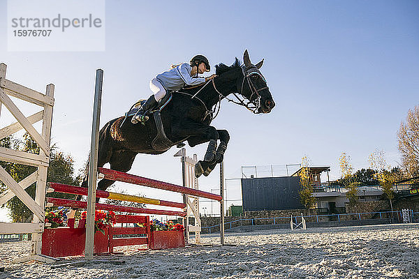 Niedriger Blickwinkel von Jockey reitet Pferd über Hürde auf Trainingsgelände gegen klaren Himmel