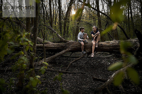 Lächelnde Geschwister in voller Länge im Gespräch auf einem umgestürzten Baum im Wald sitzend