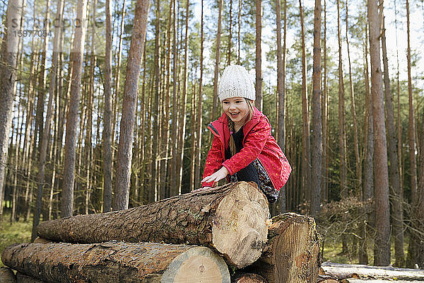 Porträt eines glücklichen kleinen Mädchens  das auf einen Holzstapel im Wald klettert