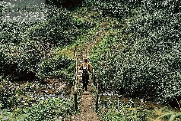 Rückansicht eines Mannes beim Wandern auf einem abgelegenen Pfad auf der Insel Sao Miguel  Azoren  Portugal