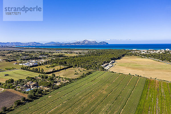 Spanien  Balearen  Mallorca  Can Picafort  Blick aus dem Hubschrauber auf ländliche Felder im Sommer