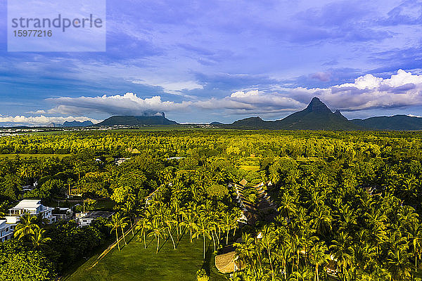 Mauritius  Black River  Flic-en-Flac  Blick aus dem Hubschrauber auf Palmen vor grünem Wald mit Trois Mamelles-Gebirge im Hintergrund