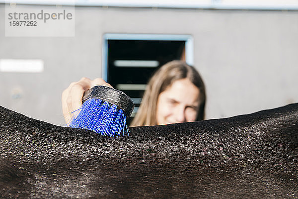 Mädchen bürstet Pferd auf einer Ranch an einem sonnigen Tag