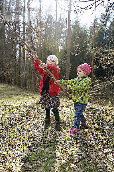 Zwei kleine Schwestern spielen mit Zweig im Wald