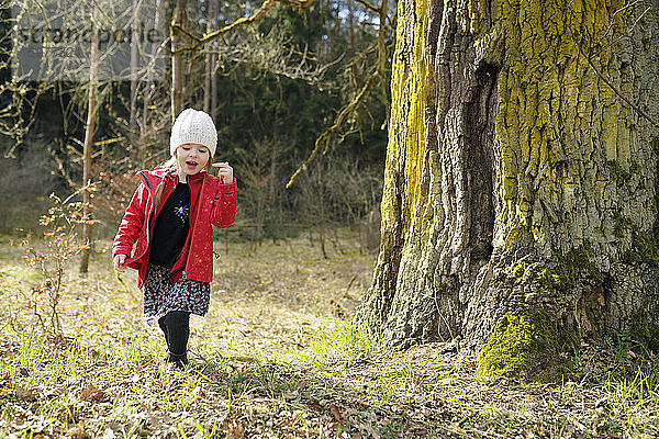 Kleines Mädchen geht im Wald spazieren