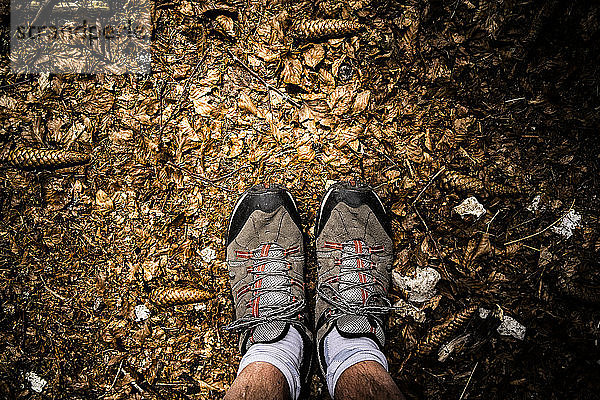 Füße eines Mannes in Wanderstiefeln auf dem Waldboden