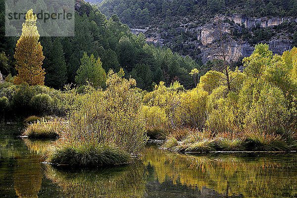 Spanien  Provinz Guadalajara  Blick auf das Naturschutzgebiet Alto Tajo im Herbst