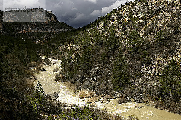Spanien  Provinz Guadalajara  Fluss Tejo fließt durch ein Tal im Naturschutzgebiet Alto Tajo