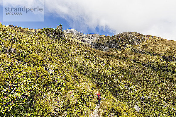 Neuseeland  Wanderin bewundert die umliegende Landschaft während einer Wanderung zum Vulkan Mount Taranaki