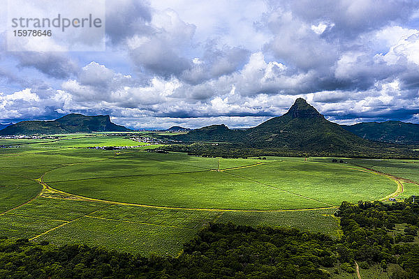 Mauritius  Black River  Flic-en-Flac  Blick aus dem Hubschrauber auf riesige Zuckerfelder im Sommer mit dem Trois Mamelles-Gebirge im Hintergrund