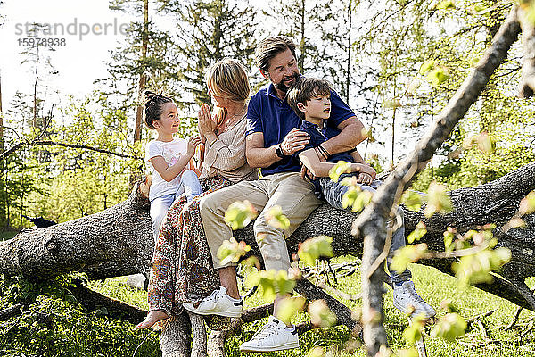 Familie sitzt auf umgestürztem Baum im Wald