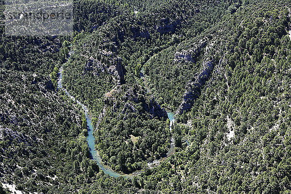 Spanien  Provinz Guadalajara  Luftaufnahme des Flusses Tejo  der sich durch ein bewaldetes Tal im Naturschutzgebiet Alto Tajo schlängelt