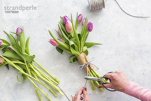 Hände einer Frau bereiten einen Strauß lila blühender Tulpen vor