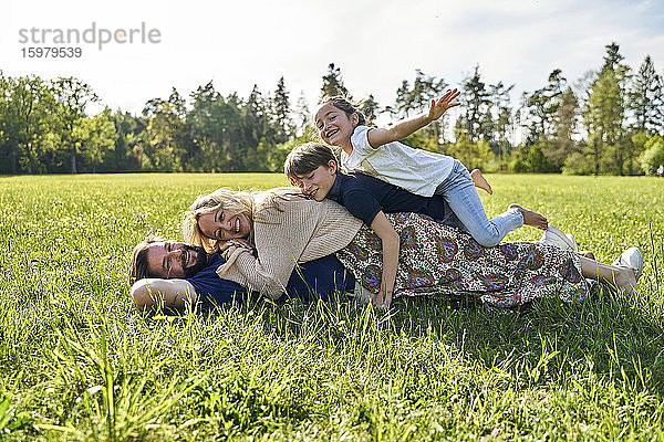 Glückliche Familie  die sich im Gras liegend an einem sonnigen Tag vergnügt