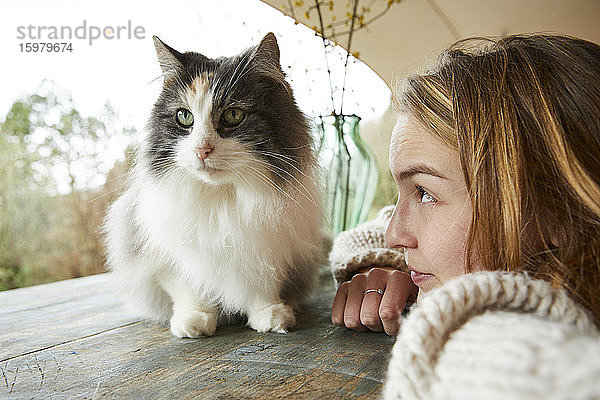 Junge Frau  die eine norwegische Waldkatze auf einem Holztisch betrachtet