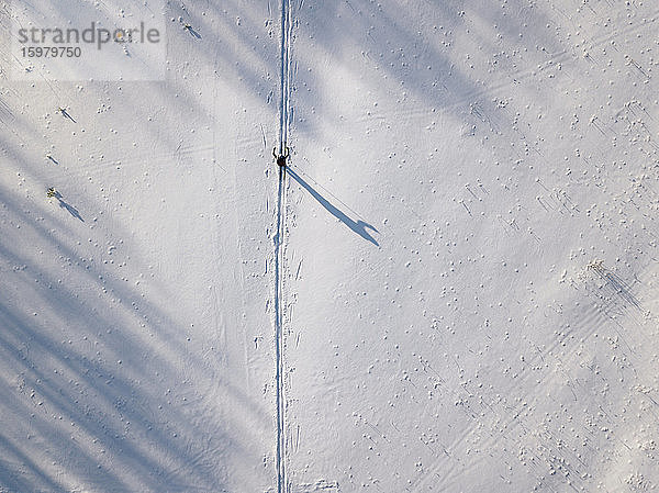 Russland  Leningrad Oblast  Tichwin  Luftaufnahme eines einsamen Skifahrers im Winter