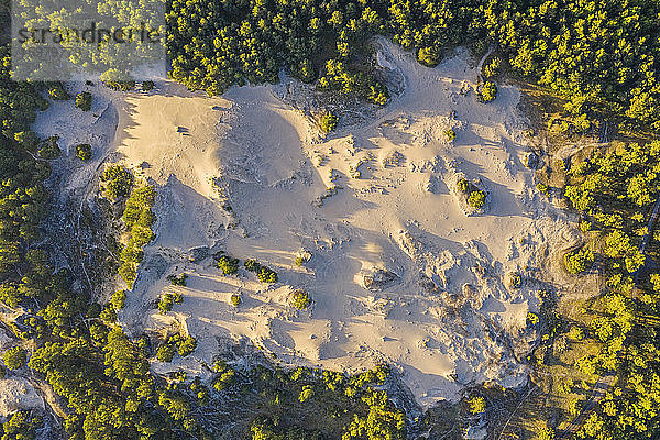 Polen  Pommern  Leba  Blick von oben auf die Sanddüne im Slowinski-Nationalpark