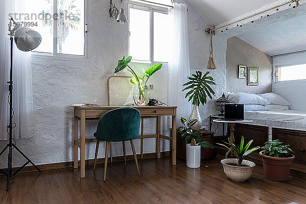 Möbel und Topfpflanzen im Schlafzimmer zu Hause